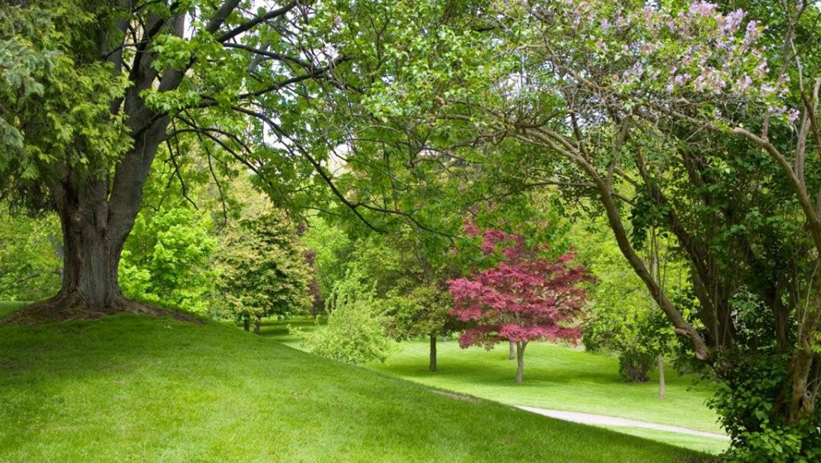 Tranquil gardens